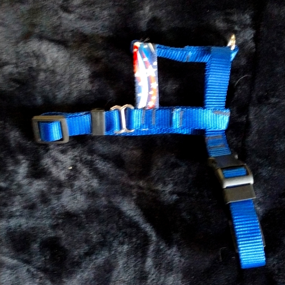 Blue patriotic harness. S/M size. Adjustable.